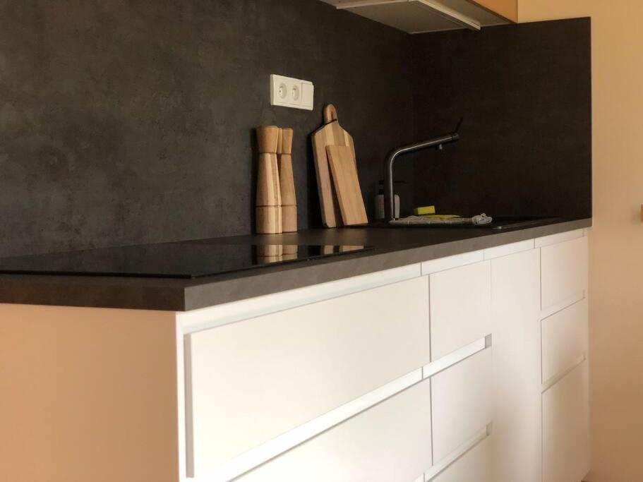 Apartman Boruvka Železná Ruda 外观 照片