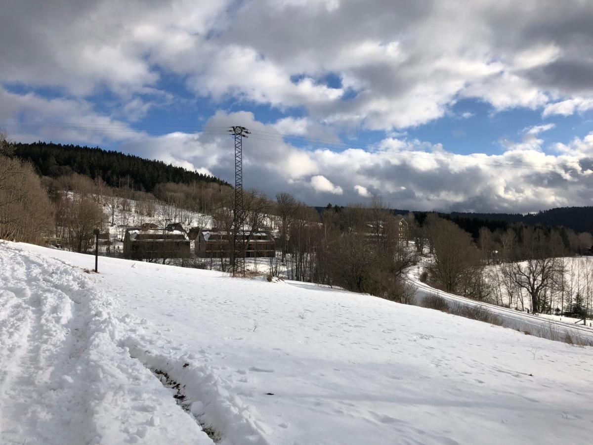 Apartman Boruvka Železná Ruda 外观 照片
