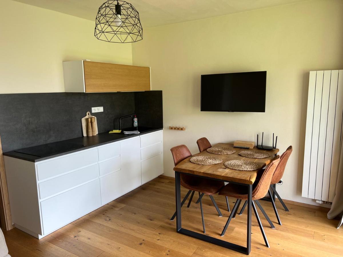 Apartman Boruvka Železná Ruda 外观 照片