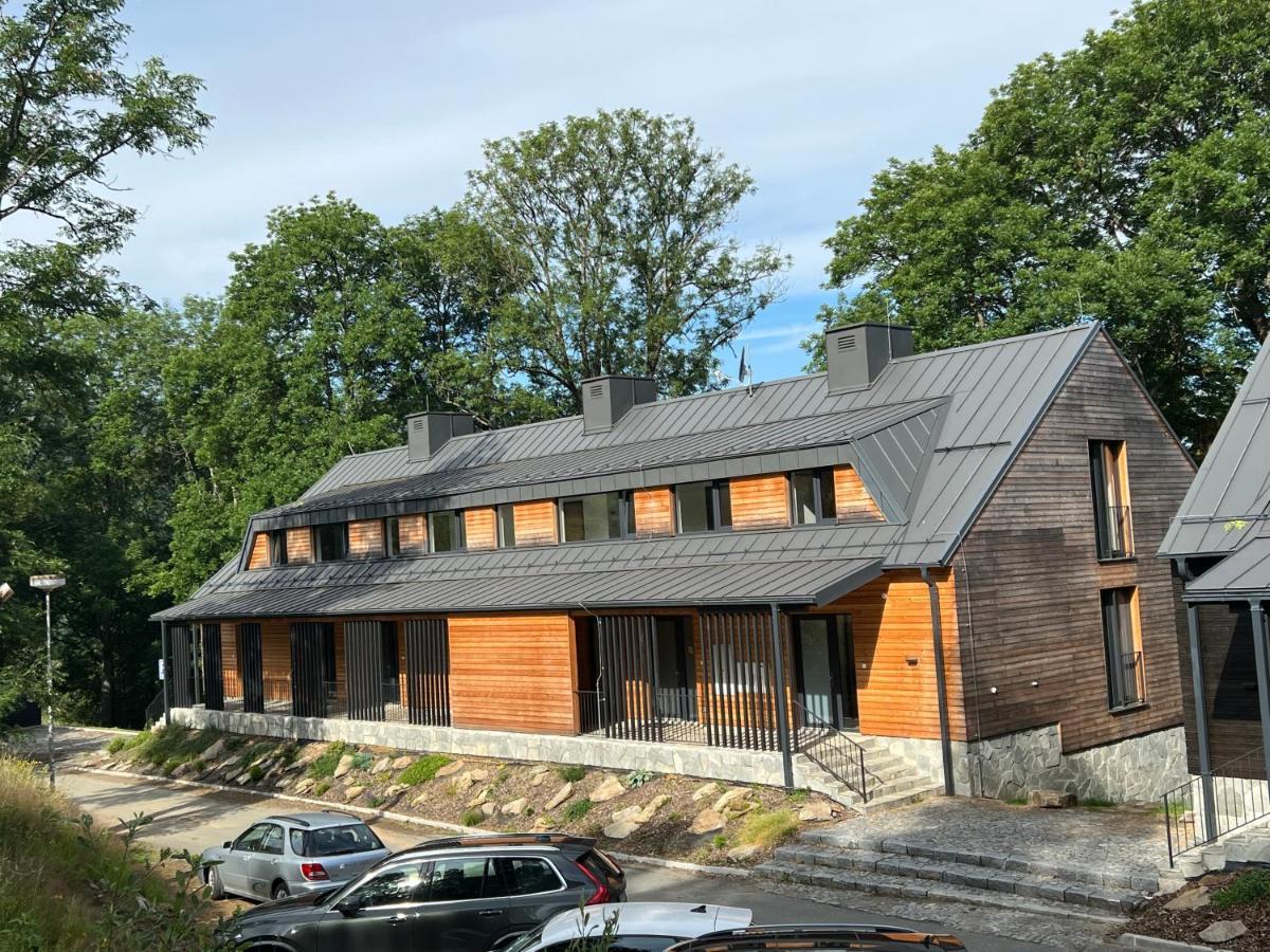 Apartman Boruvka Železná Ruda 外观 照片