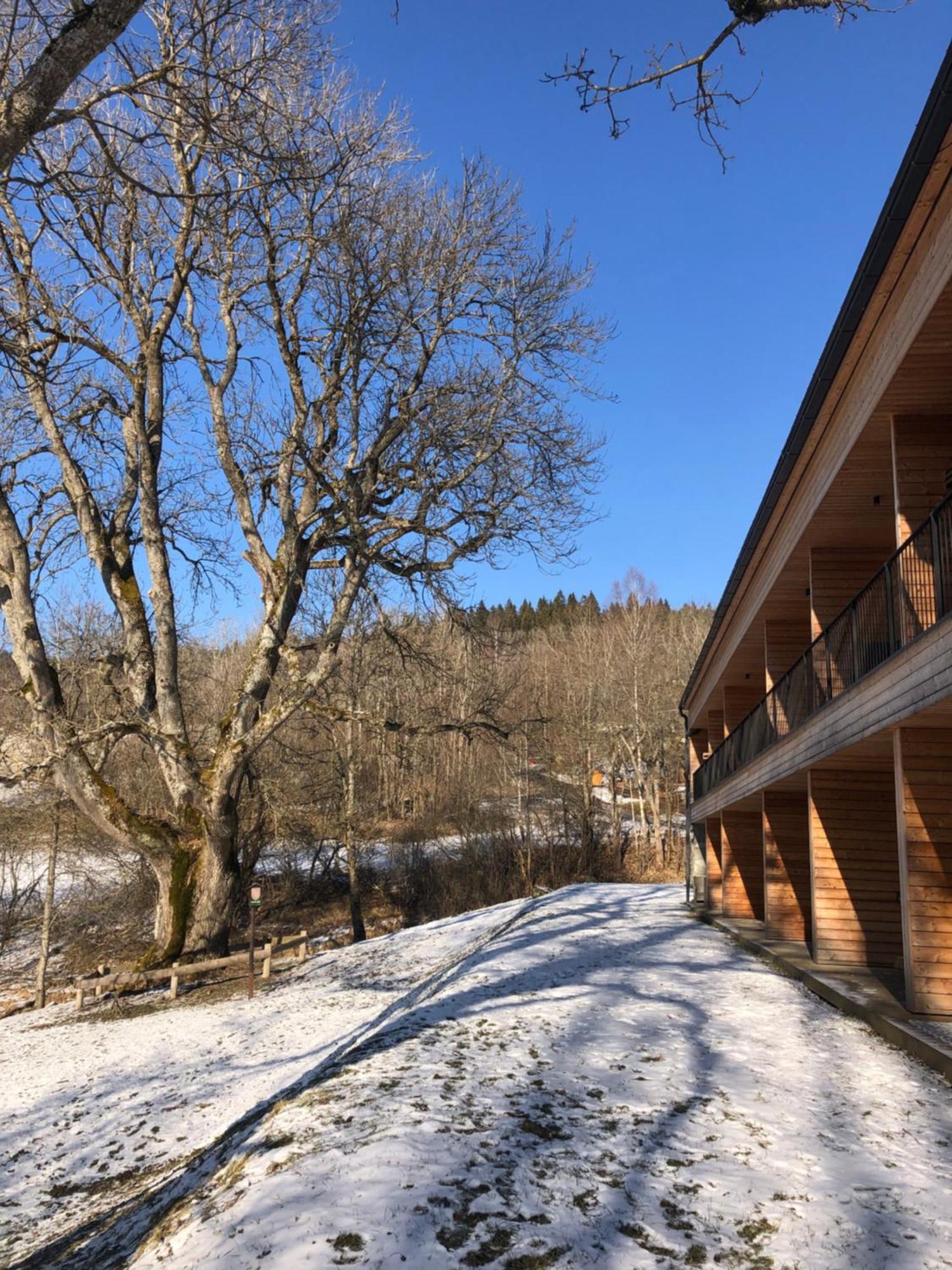 Apartman Boruvka Železná Ruda 外观 照片